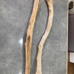 流木　2本　の画像