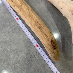 流木　2本　の画像