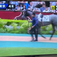 ハイセンス 75インチ TV / Hisense 75U8F 2...