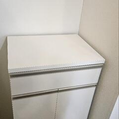【ニトリ】ゴミ庫
