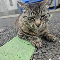 これから～
