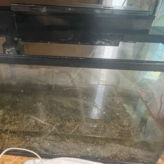 60㌢水槽２個セット