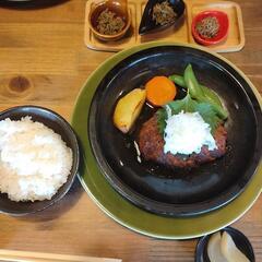 ランチ＆お出かけメンバーの募集 - 名古屋市