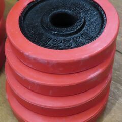 ♪FIELDOOR/フィールドア ダンベル 20kg×2 ラバー付プレート♪の画像