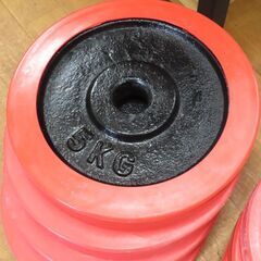 ♪FIELDOOR/フィールドア ダンベル 20kg×2 ラバー付プレート♪の画像
