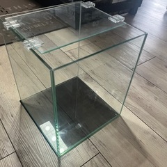 キューブ水槽の画像