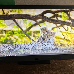EIZO21インチPCモニターEV2116V