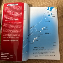 沖縄の昆虫　本の画像