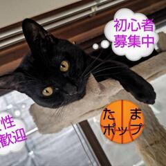 🌟🏀初心者や女性が中心の遊び感覚のバスケ🏀🌟