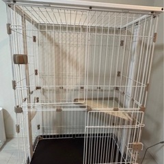 猫　ゲージ