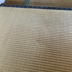 畳　一畳もらってくださいの画像