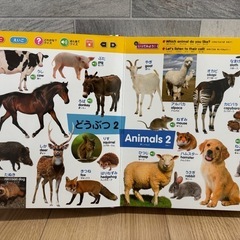 はじめてずかん1000 英語つきの画像