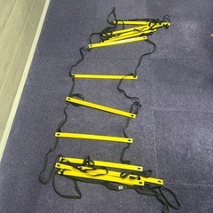トーニングラダー