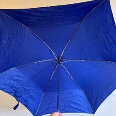 折りたたみ傘（軽量だと思います）の画像