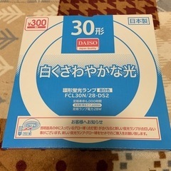 【決まりました】蛍光灯、ナツメ球、グロー球の画像