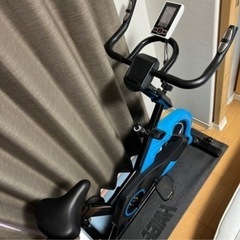スピンバイク フィットネスバイク HAIGE HG-YX-5006S ブルーの画像