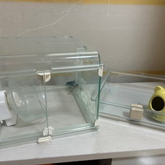 グラスハーモニー250Cubeの画像