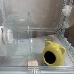 グラスハーモニー250Cubeの画像