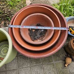 植木鉢、盆栽鉢