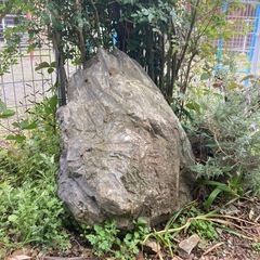 庭石