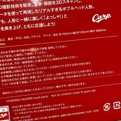 H2505-695 Carp BOBBLE HEAD 美品の画像