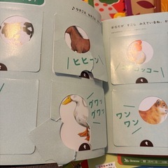 こどもちゃれんじぷち　教材&おもちゃ一式セット
の画像