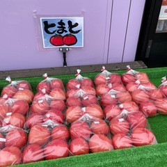 トマト直売始まりました
