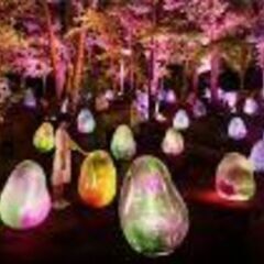 LINEグループ(美術館・博物館を巡る会近畿)メンバー募集！