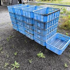 コンテナカゴまとめ売り