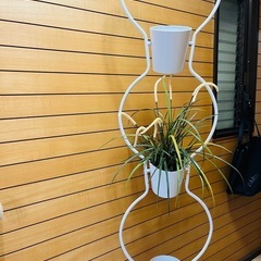 IKEA 植物ラック