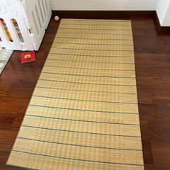ゴザ_使用期間1年未満_駐車場なし