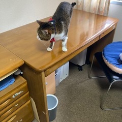 勉強机