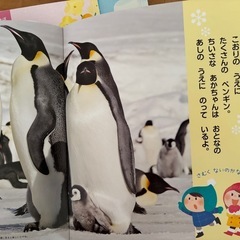本7冊の画像