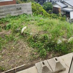 残土の画像