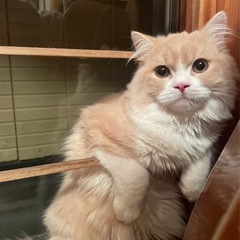 好奇心旺盛な男の子🐾