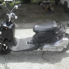 ズーマー　プチカスタム車の画像