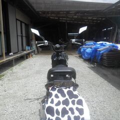 ズーマー　プチカスタム車の画像