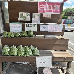 白加賀　梅　無人販売