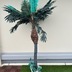 ランキングキーワードに紐づく投稿画像-観葉植物