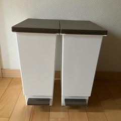 ゴミ箱 20L 2個セット スリムペダル ふた付き