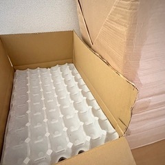 紙製 卵トレー 卵パック