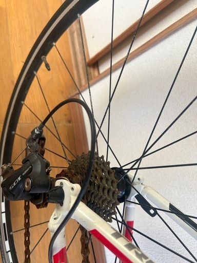 TREK ONE SERIES 1.1 トレック ロードバイク
