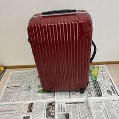 キャリーバック