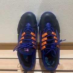 NIKEスニーカー27センチの画像