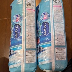 トレーニング専用パンツの画像