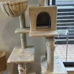 キャットタワー無料で譲ります⭐︎