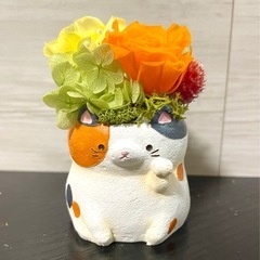 三毛猫のフラワーアレンジメント♡