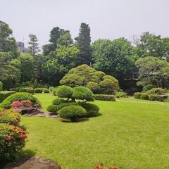 5/29（木）11-13時@光が丘公園でテニスの練習しませ…
