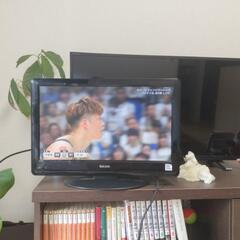 19型　テレビ　