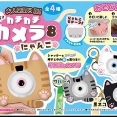のぞいて！カチカチ　カメラ8 にゃんこの画像